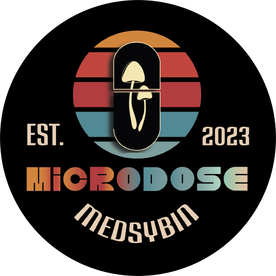 Medsybin circular badge with warm and blue retro color bands