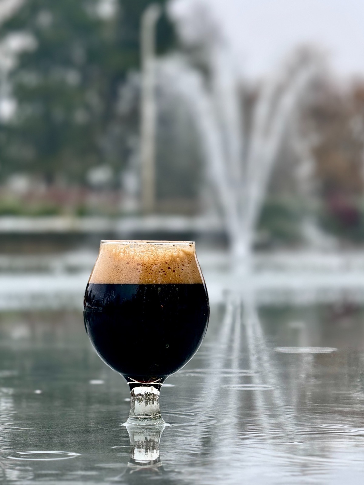 A dark beer beside a fountain