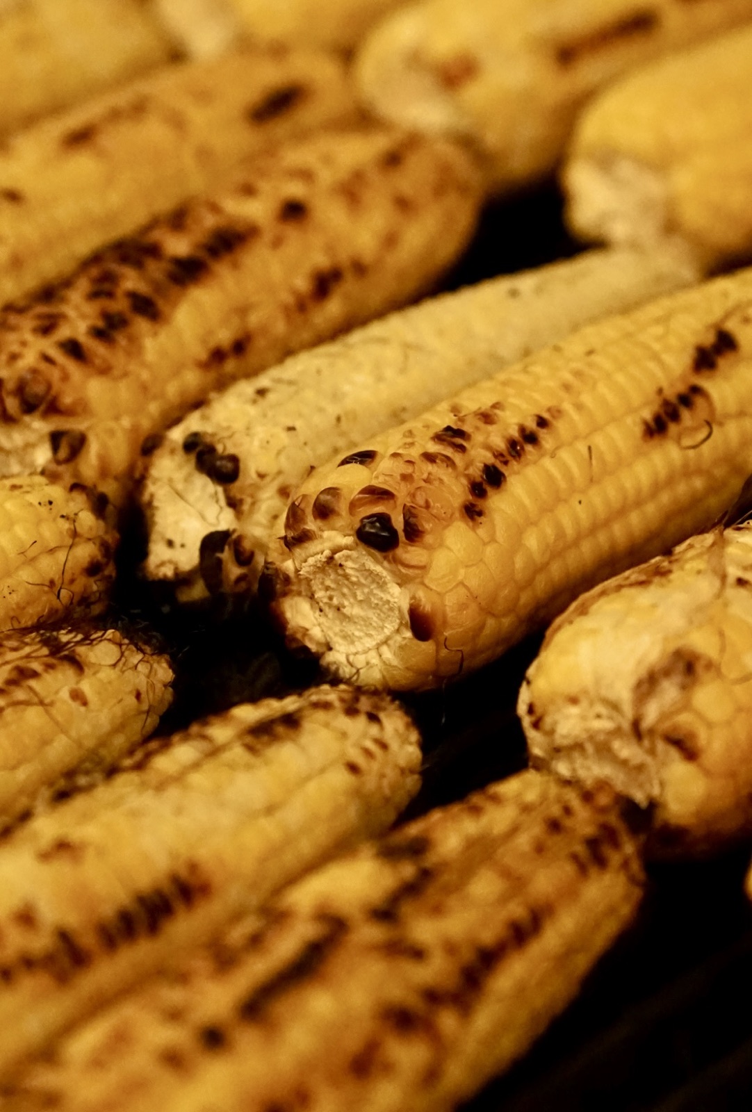 Close-up of golden grilled corn with charred kernels